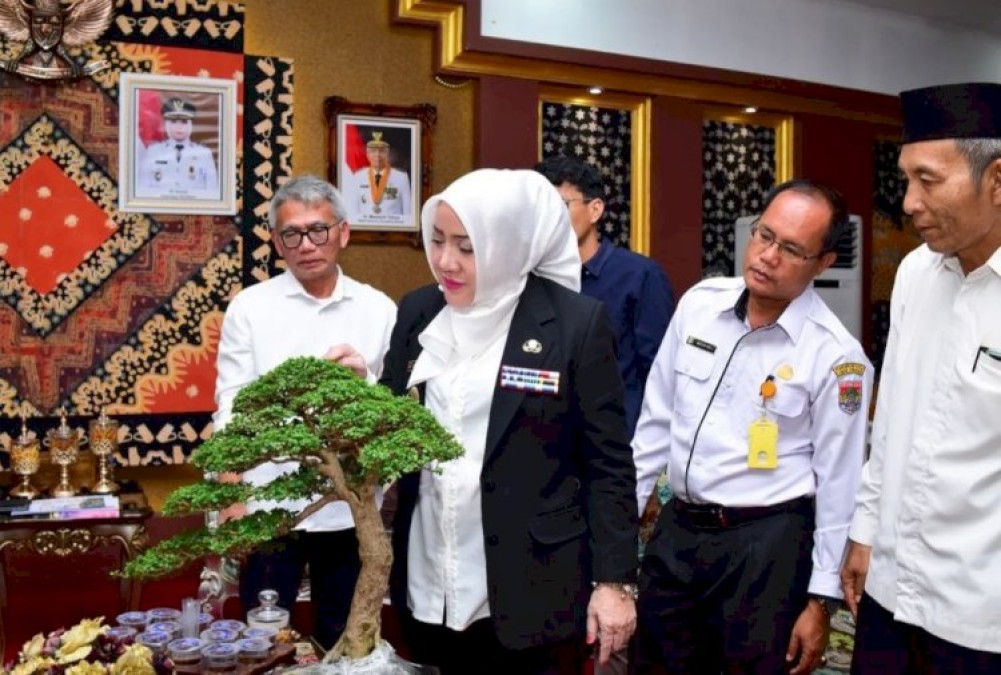 Kabupaten Musi Rawas Bakal Gelar Lomba Bonsai Tingkat Nasional