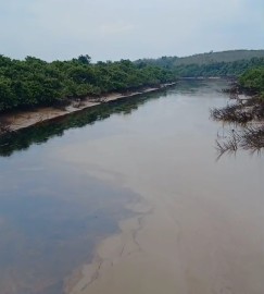 Sungai Parung di Sungai Lilin Diduga Menjadi Sungai Minyak Mentah