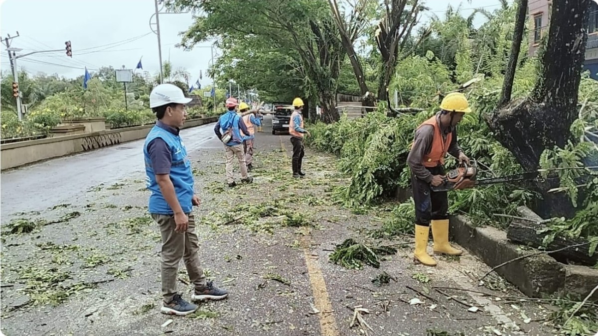PLN UP3 Lubuklinggau Sambut Hari Kesaktian Pancasila dengan Pembersihan Jalur Listrik di Jalan Lintas Sumatera dan Kota Lubuklinggau