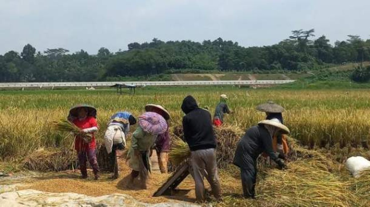 Diduga Jual Pupuk di Atas HET, Kios Tani di Purwodadi Disorot — Harga Tembus Rp135 Ribu per Sak