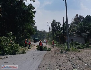 PLN ULP Muara Beliti Pangkas Pohon Berisiko Demi Jaga Keandalan Pasokan Listrik di Desa Remayu